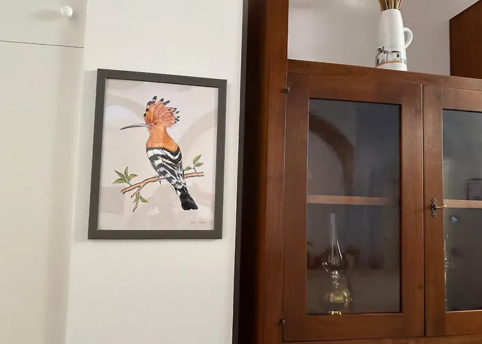 Il Nido Dell\'Upupa